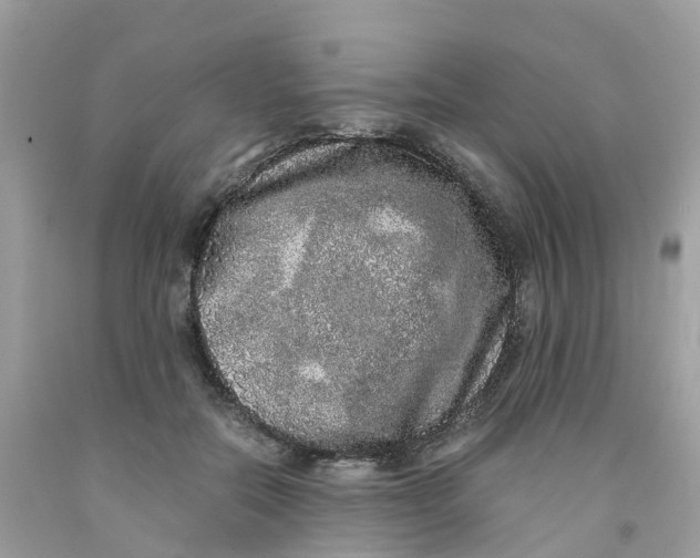 X0000091100554200709041325