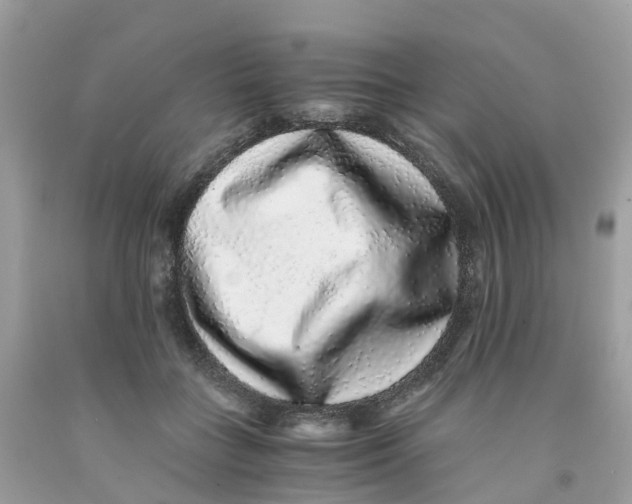 X0000091100555200709041325