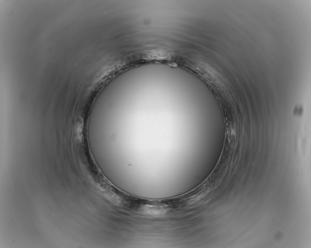 X0000091100556200709041325