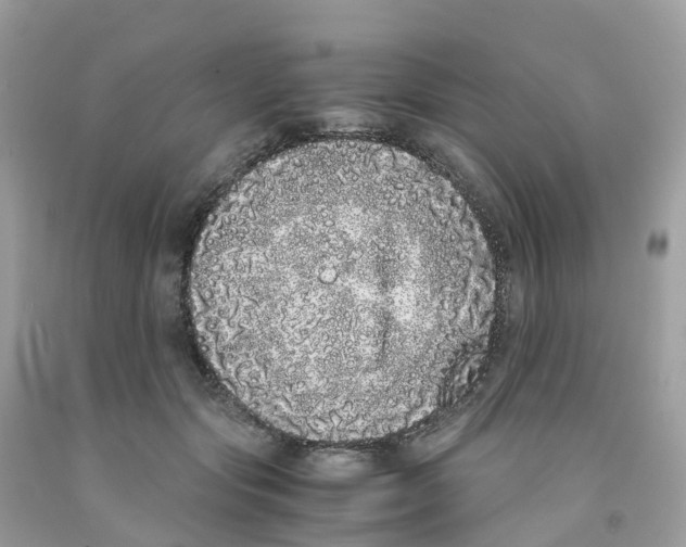 X0000091100557200709041325