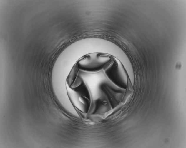 X0000091100558200709041325