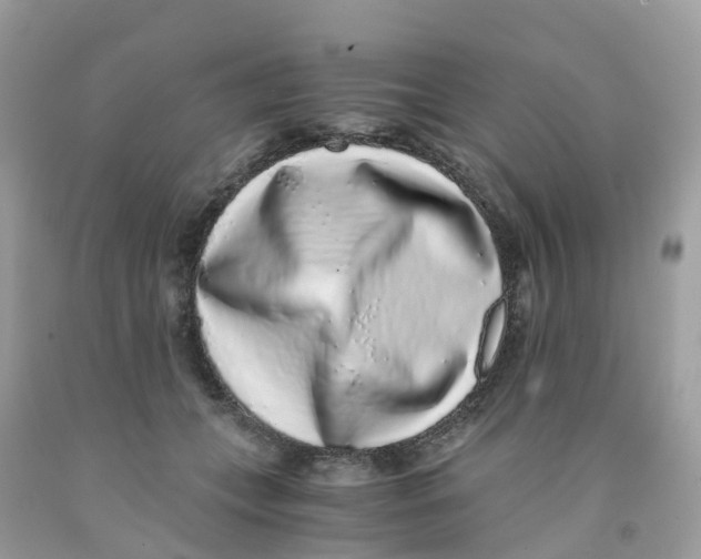 X0000091100559200709041325