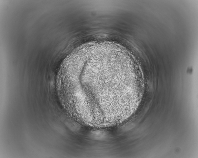 X0000091100561200709041325