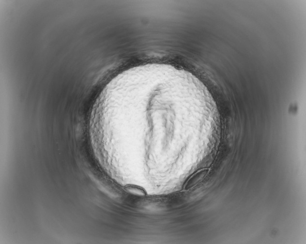 X0000091100563200709041325