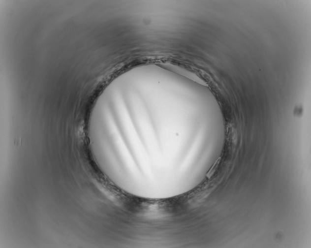 X0000091100564200709041325