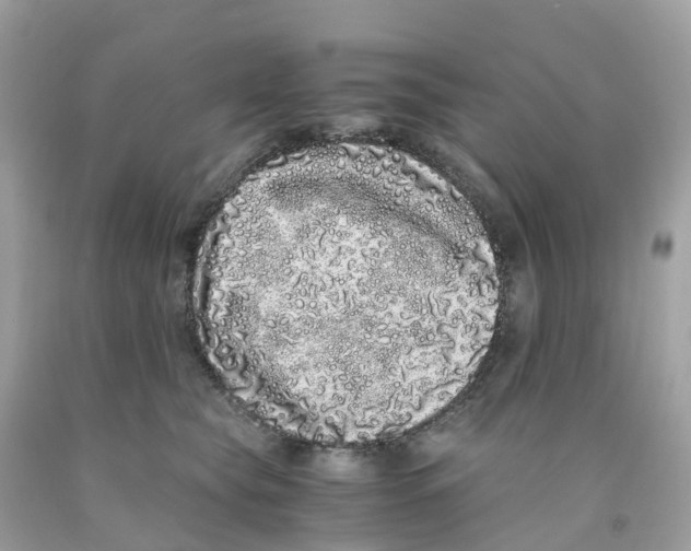 X0000091100565200709041325