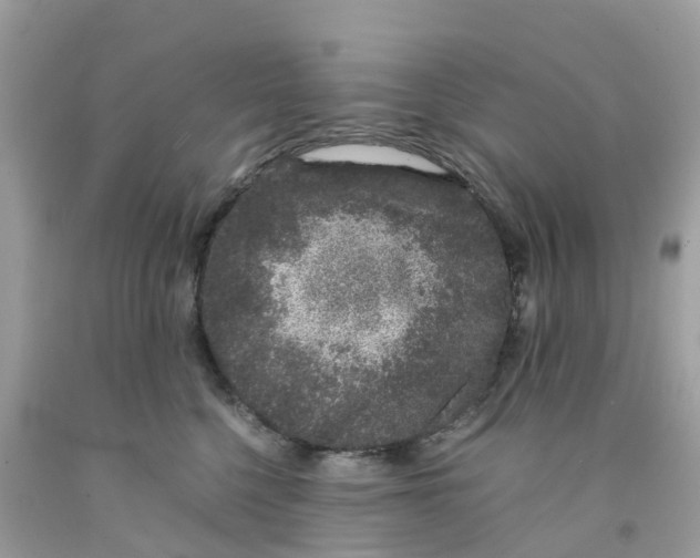 X0000091100568200709041325