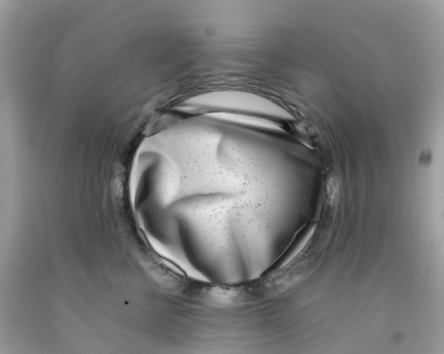 X0000091100570200709041326