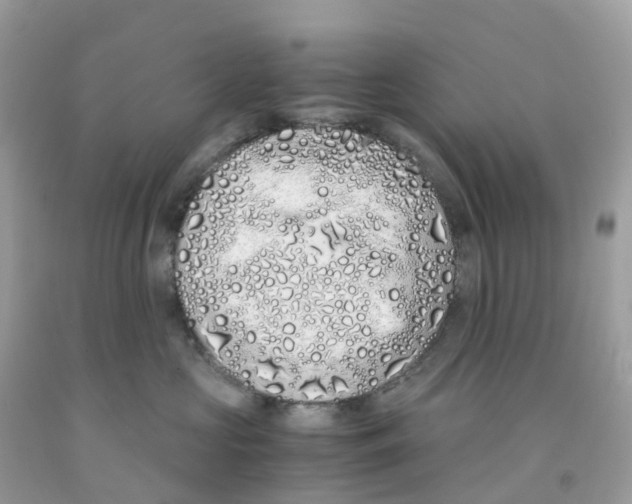 X0000091100573200709041326