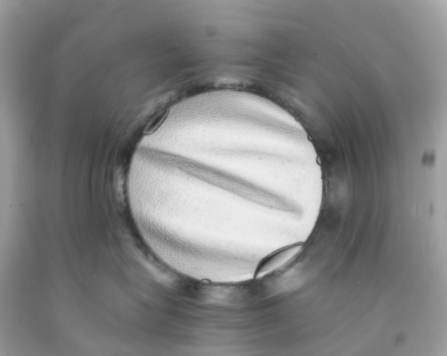 X0000091100575200709041326