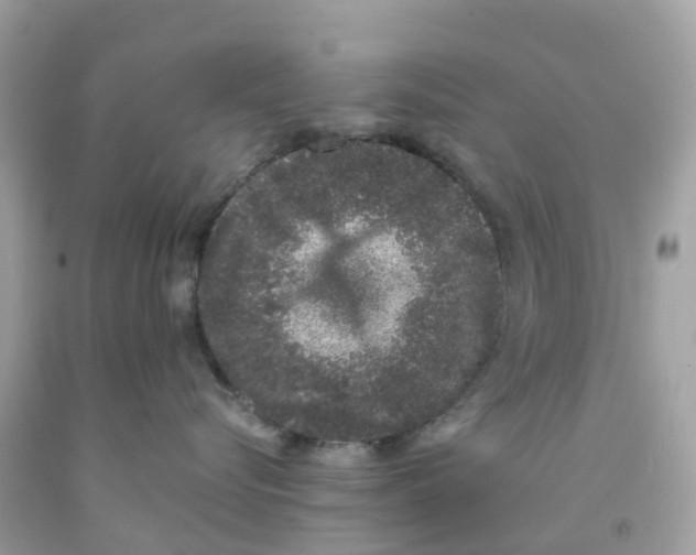 X0000091100576200709041326