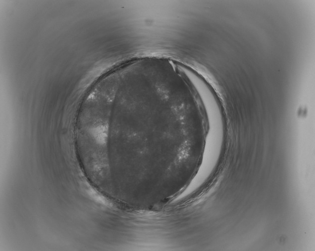 X0000091100577200709041325