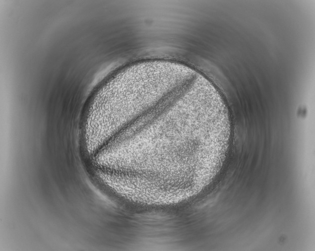 X0000091100578200709041325