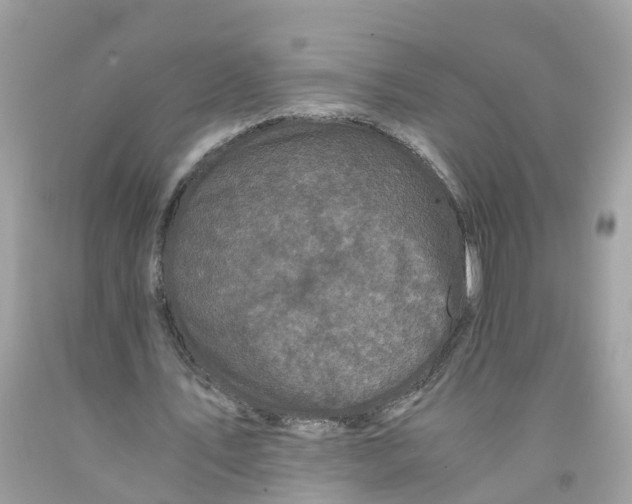 X0000091100579200709041325