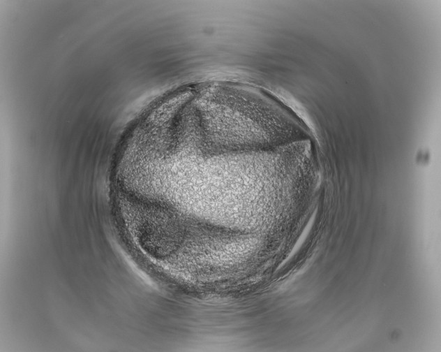 X0000091100581200709041325