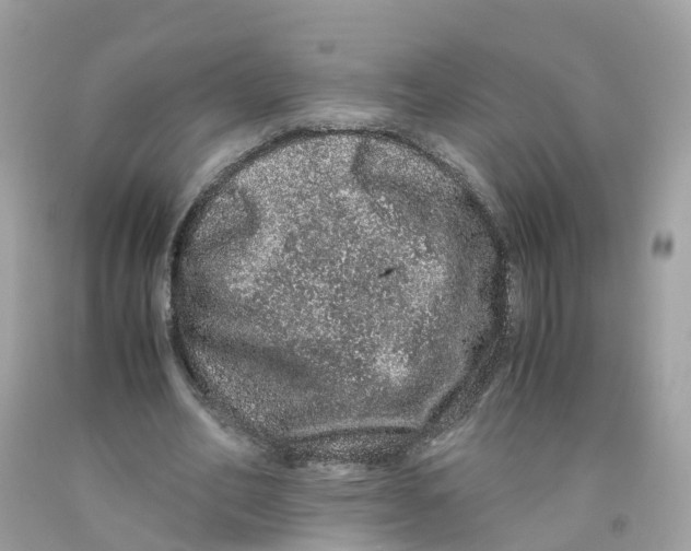 X0000091100582200709041325