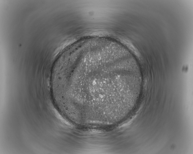 X0000091100585200709041325