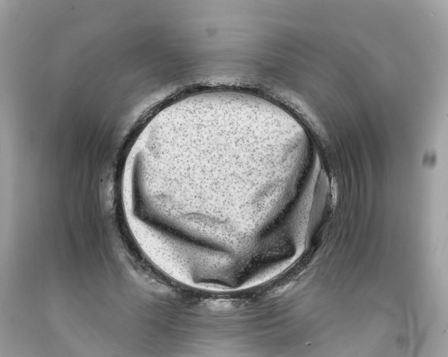 X0000091100588200709041325