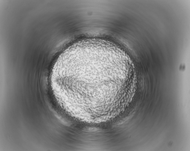 X0000091100590200709041325