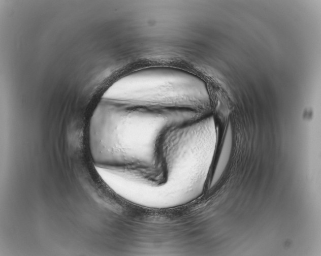 X0000091100596200709041325