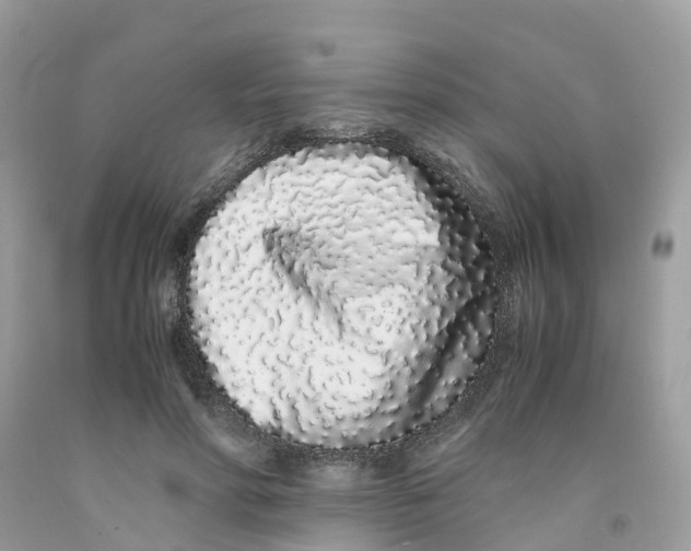 X0000091100598200709041325