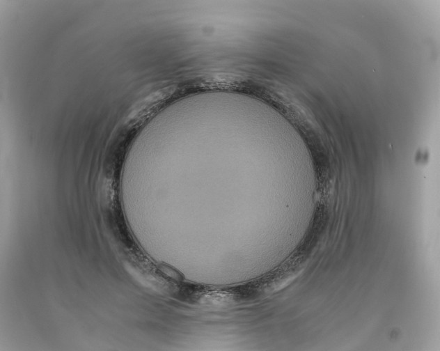 X0000091100599200709041325