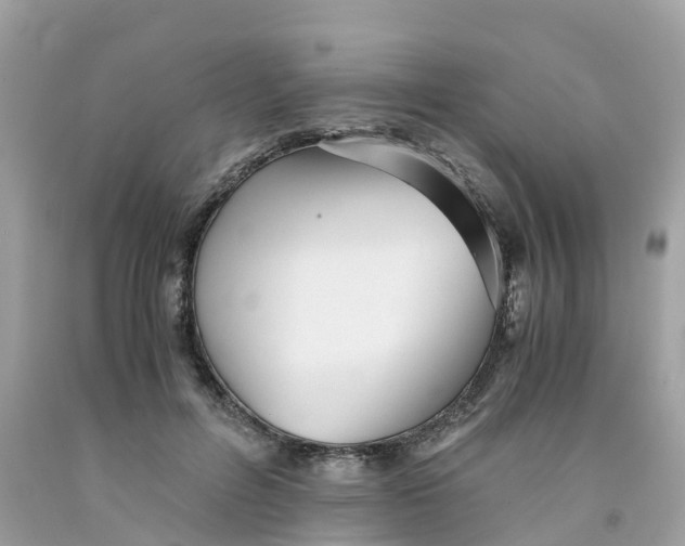 X0000091100600200709041325