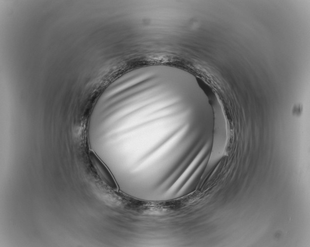 X0000091100601200709041325