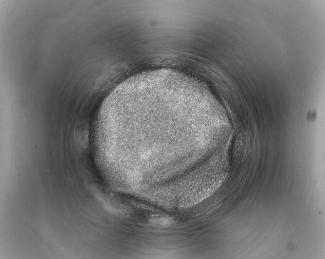 X0000091100602200709041325