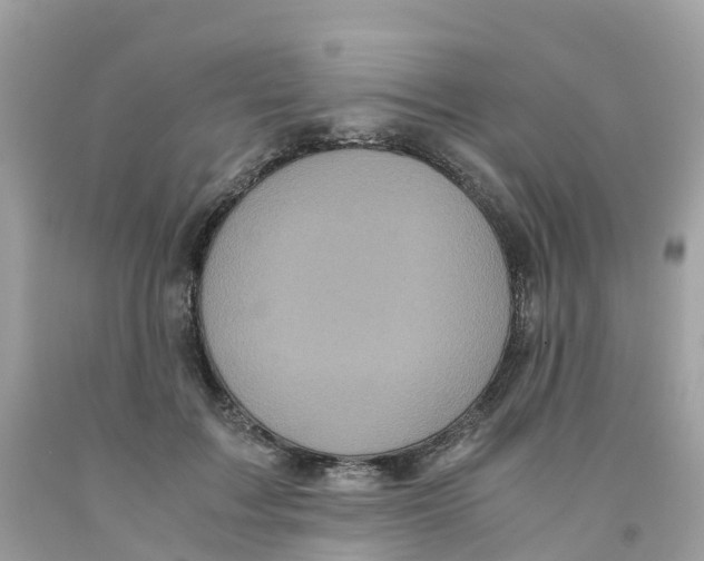 X0000091100603200709041325