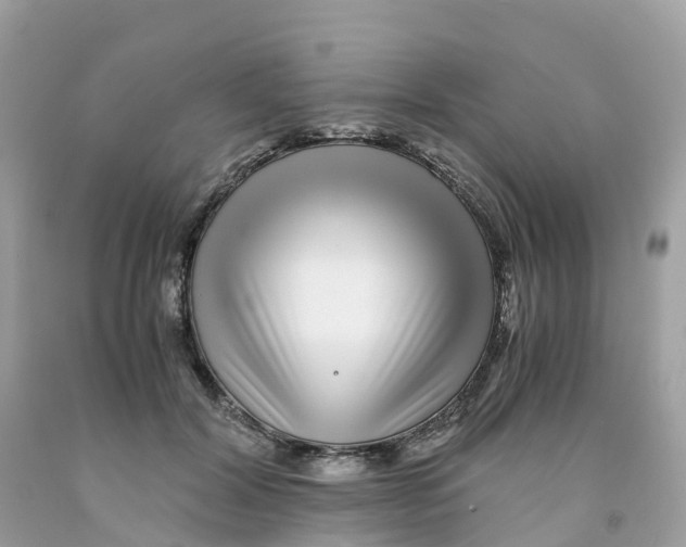 X0000091100604200709041325