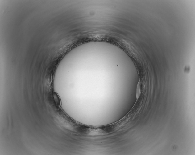 X0000091100605200709041325