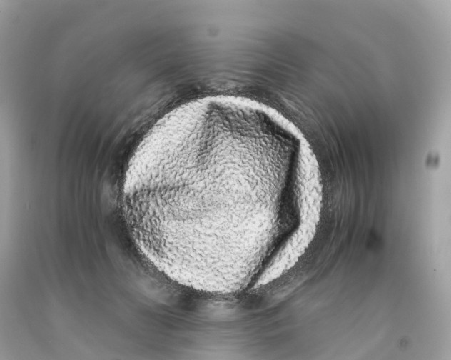 X0000091100606200709041325