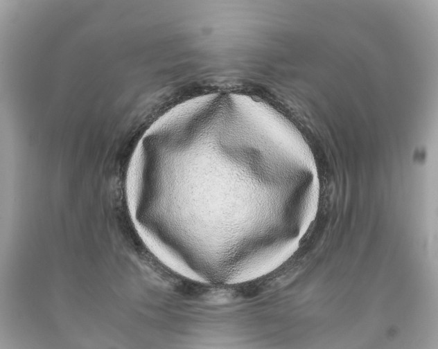 X0000091100609200709041325