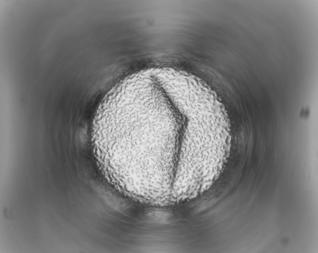 X0000091100610200709041325