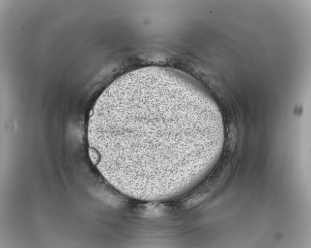 X0000091100612200709041324