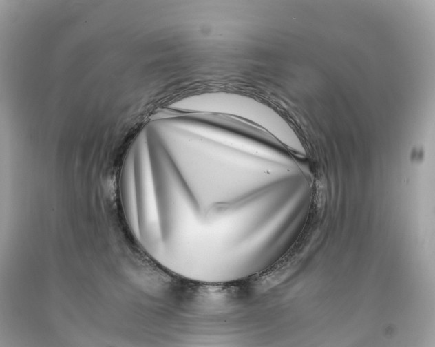 X0000091100613200709041324