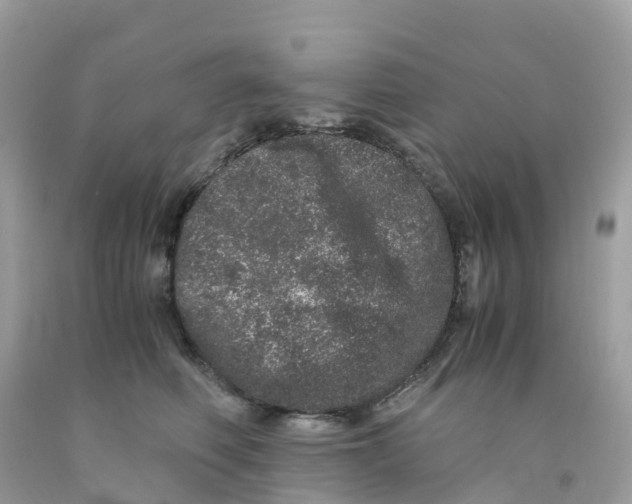 X0000091100614200709041324