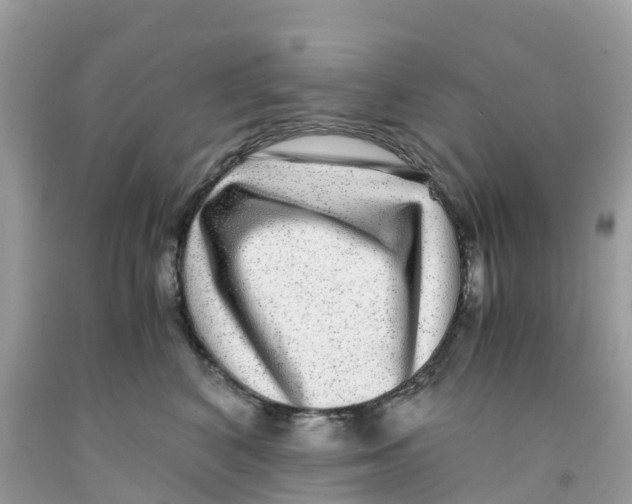 X0000091100616200709041324