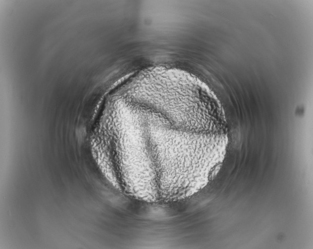 X0000091100618200709041324