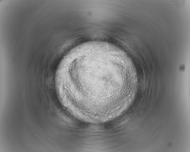 X0000091100619200709041324