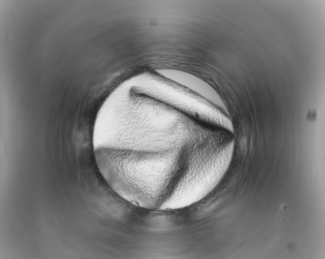 X0000091100620200709041324