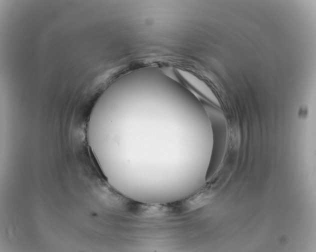 X0000091100621200709041324