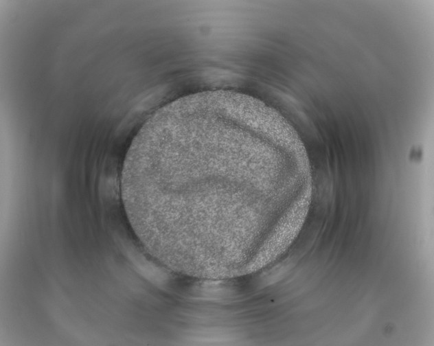 X0000091100622200709041324