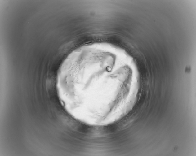 X0000091100623200709041324