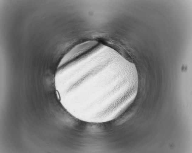 X0000091100624200709041324