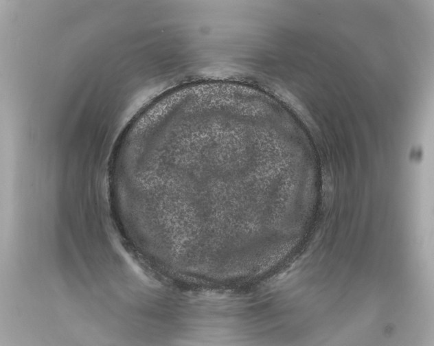 X0000091100626200709041323