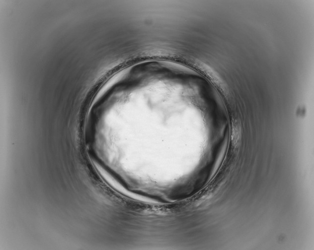 X0000091100627200709041323