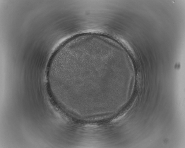 X0000091100628200709041323