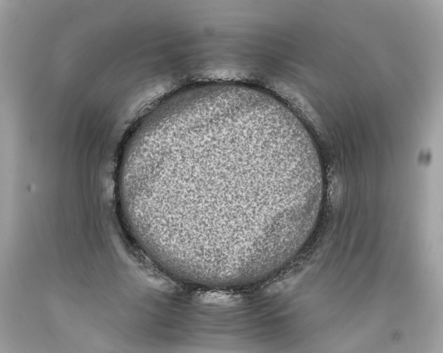 X0000091100635200709041324